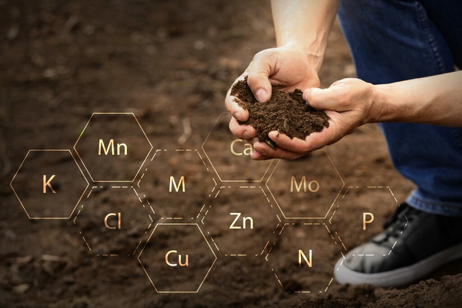  soil nutrients