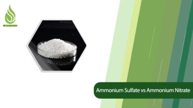 تصویر Comparison of Ammonium Sulfate and Ammonium Nitrate in Terms of Application and Time of Use