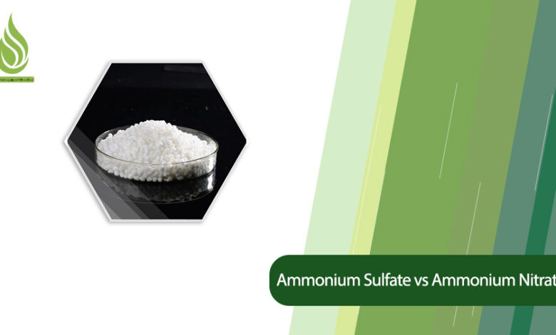 تصویر Comparison of Ammonium Sulfate and Ammonium Nitrate in Terms of Application and Time of Use