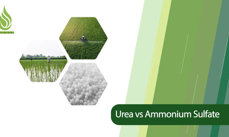 تصویر What Are the Differences Between Urea and Ammonium Sulfate? (Applicable Comparison)