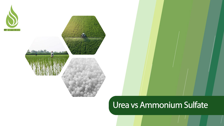 Urea and Ammonium Sulfate