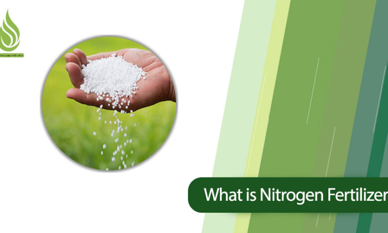 تصویر What Is Nitrogen Fertilizer? What Are the Types of Nitrogen Fertilizers?