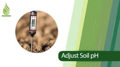 تصویر How to modify and adjust soil pH? (scientific and practical solutions)