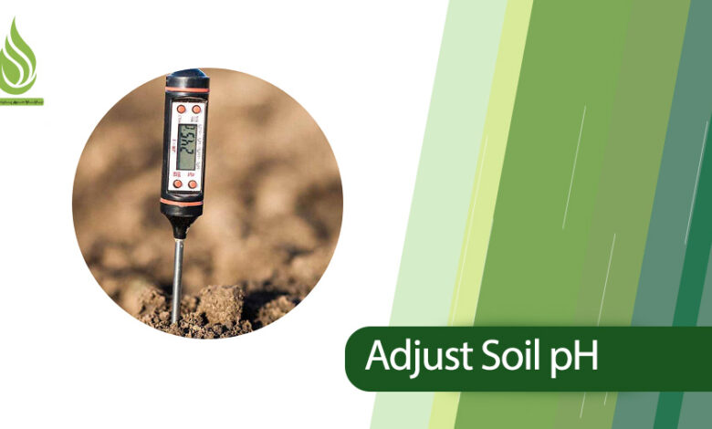 تصویر How to modify and adjust soil pH? (scientific and practical solutions)