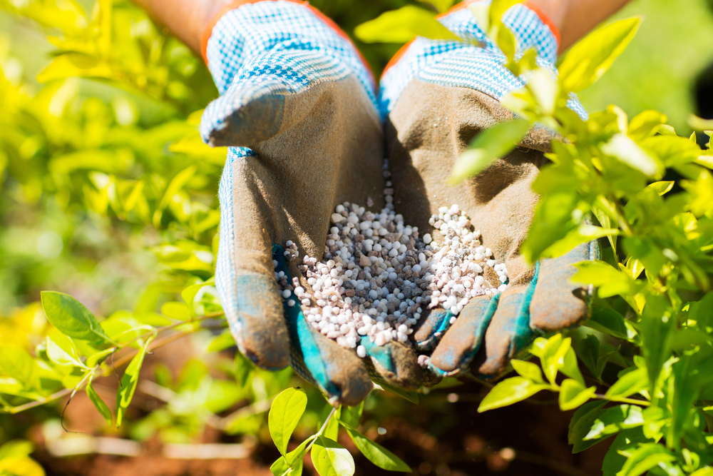 Ammonium Sulfate fertilizer
