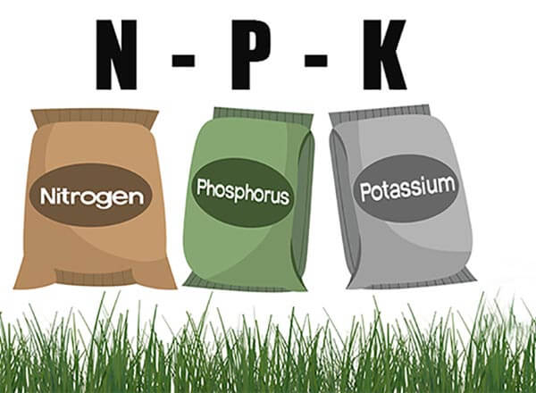 NPK Fertilizer