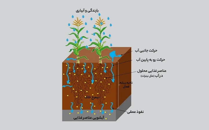 تعریف آبشویی عناصر غذایی خاک