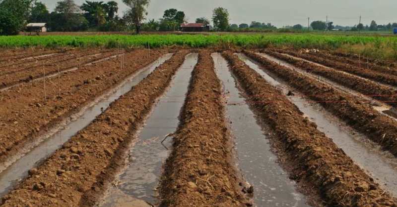 soil leaching in a farm