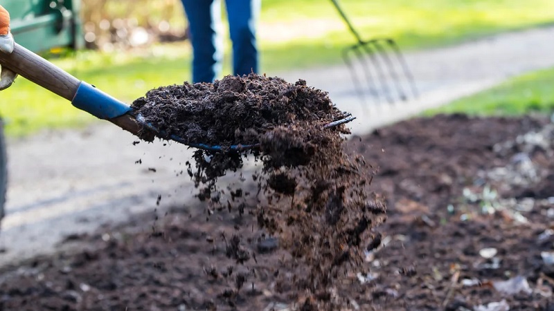 Organic Fertilizer