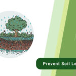 soil leaching