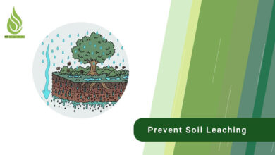 تصویر How can we prevent soil leaching?