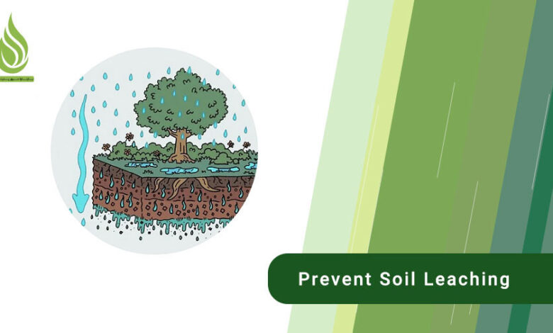 تصویر How can we prevent soil leaching?