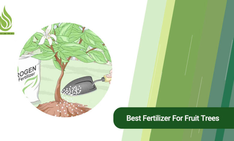 تصویر The best fertilizer you can use for fruit trees