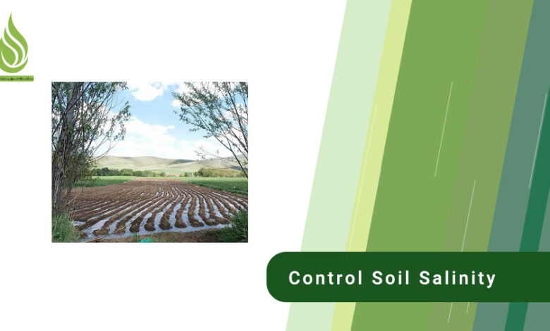 تصویر What are the methods to control and remove soil salinity?