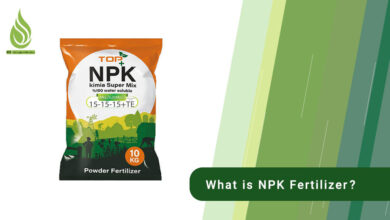 تصویر What is NPK fertilizer? When is it used?