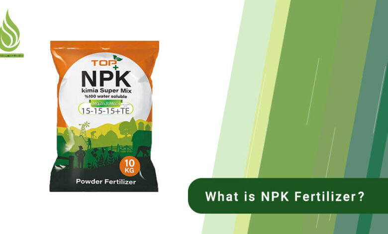 تصویر What is NPK fertilizer? When is it used?