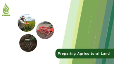 تصویر What are the stages of preparing agricultural land for cultivation?