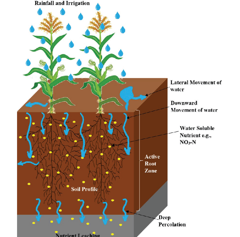 meaning of soil leaching