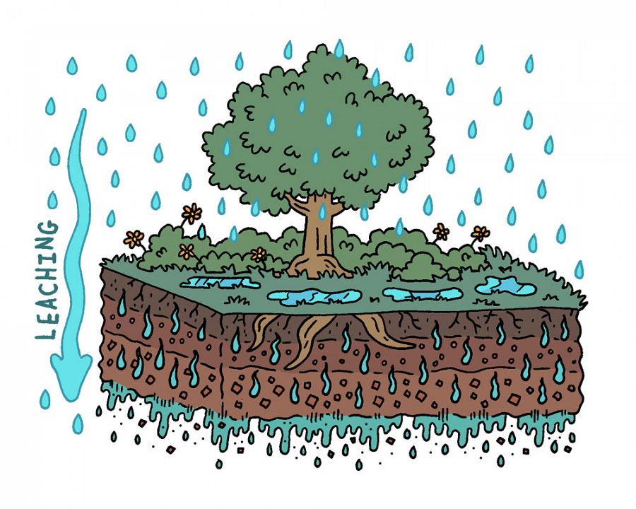  solution to prevent soil nutrient leaching