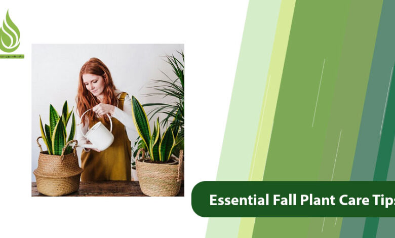 تصویر 7 Essential Fall Plant Care Tips: Keep Your Greenery Thriving!