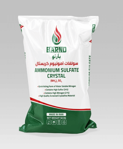 Ammonium sulfate as the best beet fertilizer