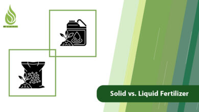 تصویر Solid vs. Liquid Fertilizer: Which One is Better for Your Crops?