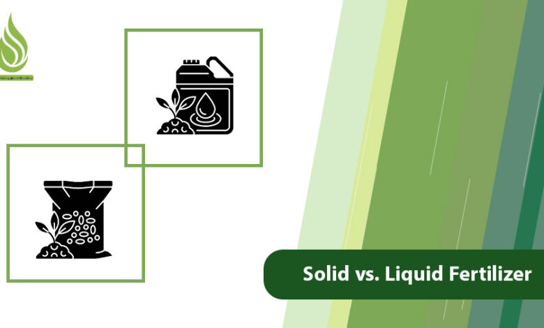 تصویر Solid vs. Liquid Fertilizer: Which One is Better for Your Crops?