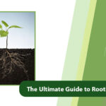 The Ultimate Guide to Rooting Fertilizers for Trees & Plants