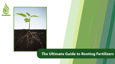 تصویر The Ultimate Guide to Rooting Fertilizers for Trees & Plants