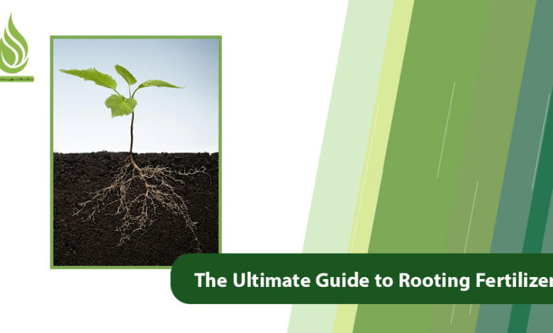 تصویر The Ultimate Guide to Rooting Fertilizers for Trees & Plants