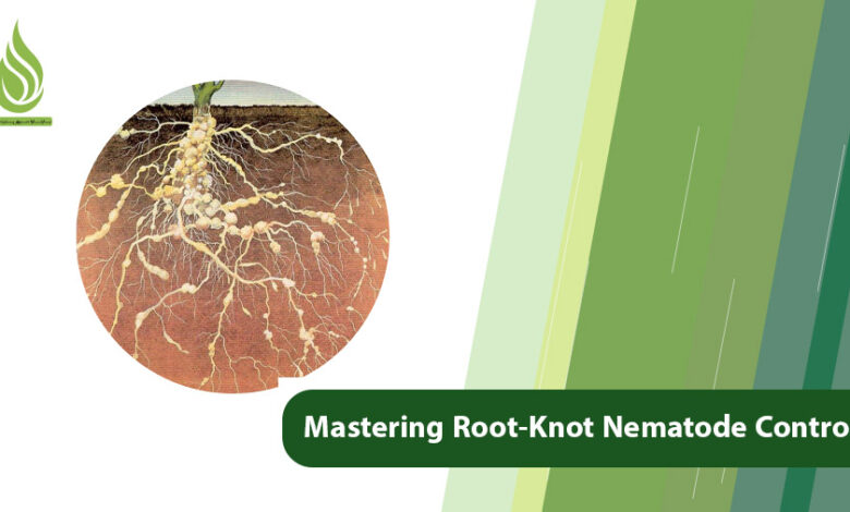 تصویر Mastering Root-Knot Nematode Control with Effective Strategies