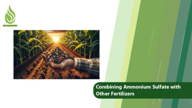 تصویر The Ways of Combining Ammonium Sulfate with Other Fertilizers