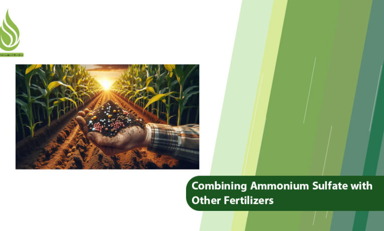 تصویر The Ways of Combining Ammonium Sulfate with Other Fertilizers