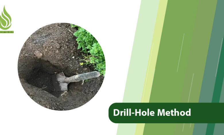 تصویر What is the Drill-Hole Method? How to Fertilize with This Method?