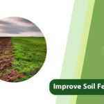 Improve Soil Fertility