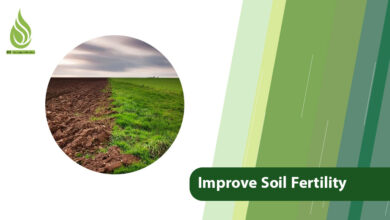 تصویر Innovative Solutions to Improve Soil Fertility and Quality