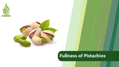 تصویر Nutrients and Key Factors Contribute to the Fullness of Pistachios