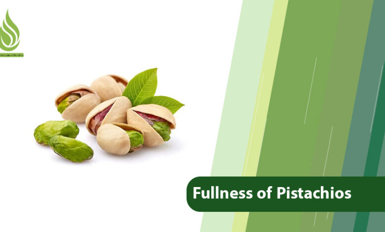 تصویر Nutrients and Key Factors Contribute to the Fullness of Pistachios