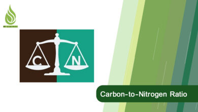 تصویر What is the Carbon-to-Nitrogen Ratio (C:N) in Agricultural Land?