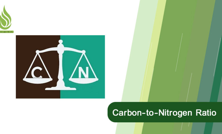 تصویر What is the Carbon-to-Nitrogen Ratio (C:N) in Agricultural Land?