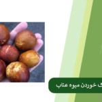 بررسی عوامل ترک خوردن عناب