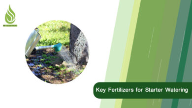 تصویر When is the Right Time for Seasonal Fertigation? Key Fertilizers for Starter Watering