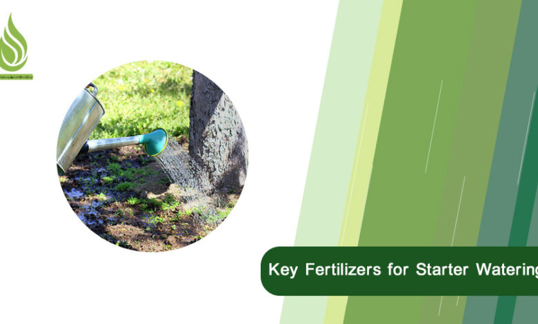 تصویر When is the Right Time for Seasonal Fertigation? Key Fertilizers for Starter Watering