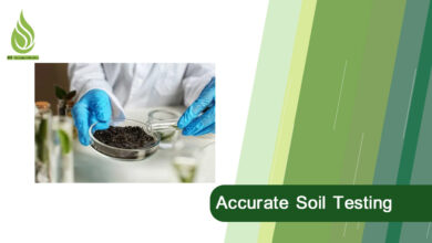 تصویر How to Effectively Sample Agricultural Soil for Accurate Soil Testing?