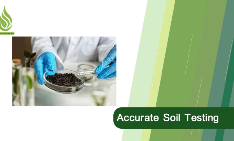 تصویر How to Effectively Sample Agricultural Soil for Accurate Soil Testing?