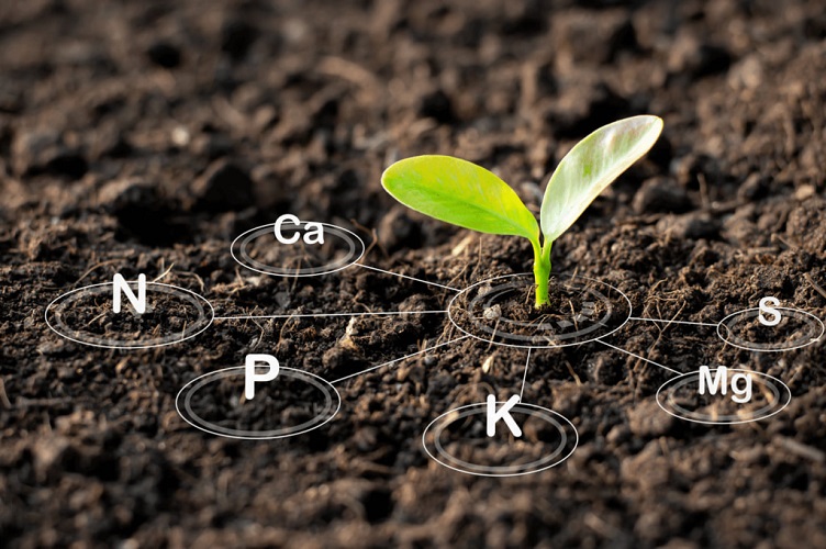 Methods for Soil Sampling