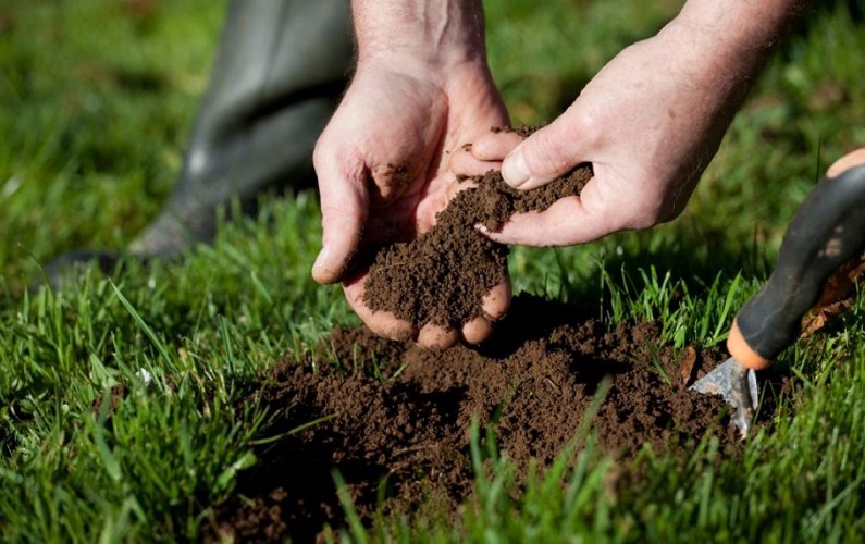 Steps for Soil Testing