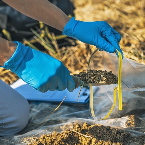 Soil Testing and Why is it Important