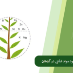 بررسی علائم کمبود مواد غذایی در گیاهان