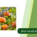 همه چیز درباره کود درخت خرمالو